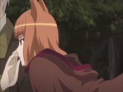  - Spice and Wolf II